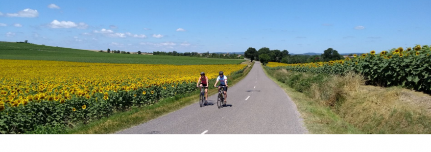 A clean website front page with a red header menu followed by an image of two cyclists riding through sunflowers with text describing the business underneath